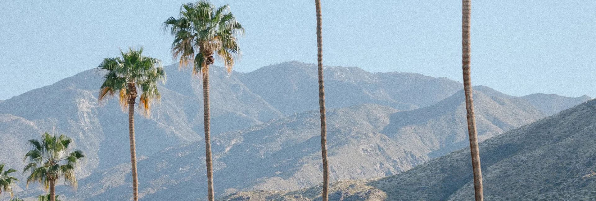 A view of tall palm trees in front of a mountainous landscape under a clear blue sky.
