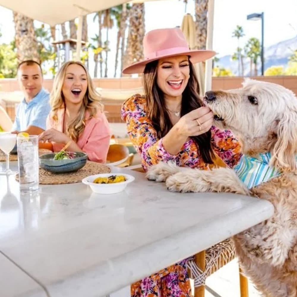 A group of friends enjoys a meal outdoors while a dog happily receives a treat at the table.