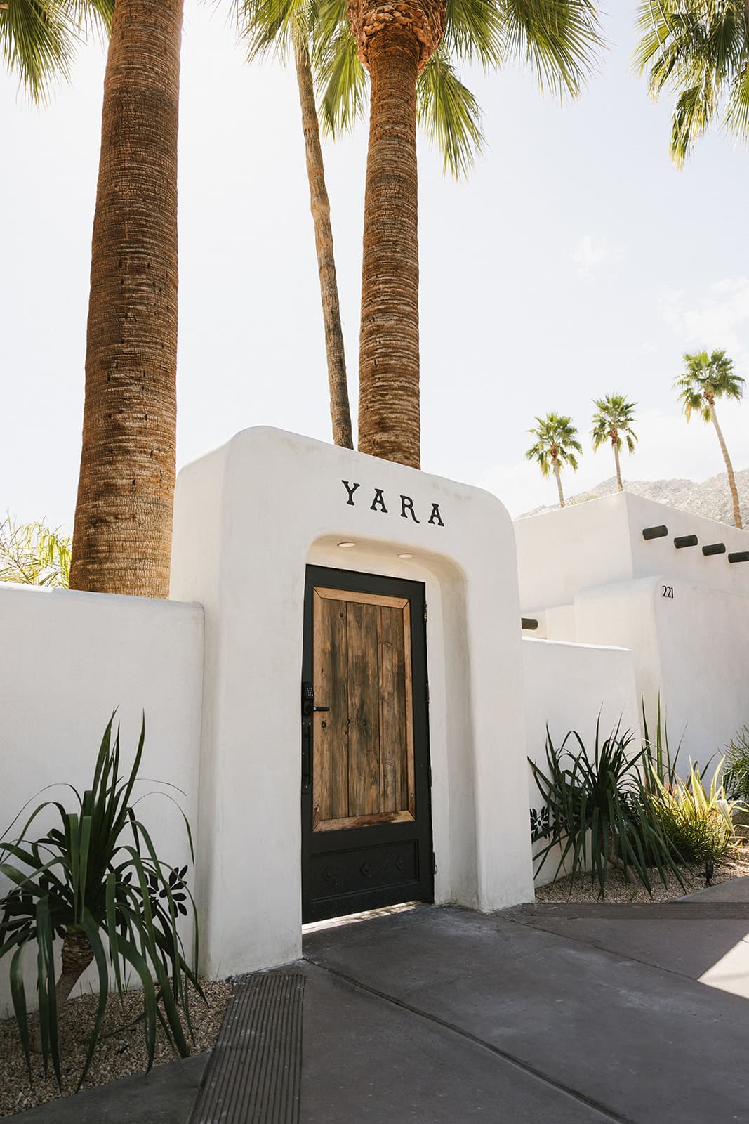 A rustic wooden door with a black frame set in a white stucco wall, surrounded by palm trees and desert plants, labeled "YARA."